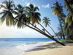 Gibbs Beach, Mullins Bay, Barbados